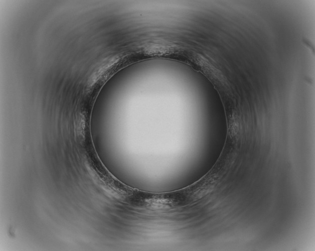 X0000102870448200808251245