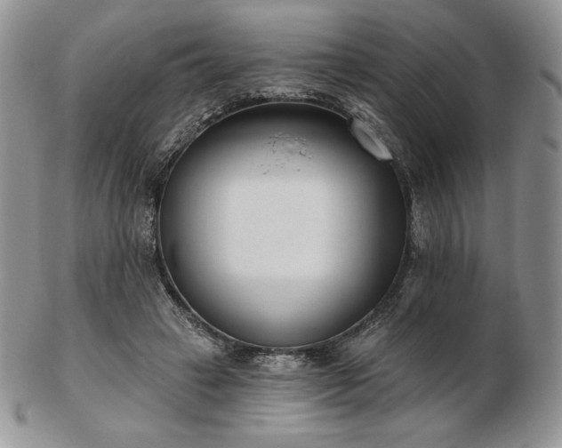 X0000102870449200808251245