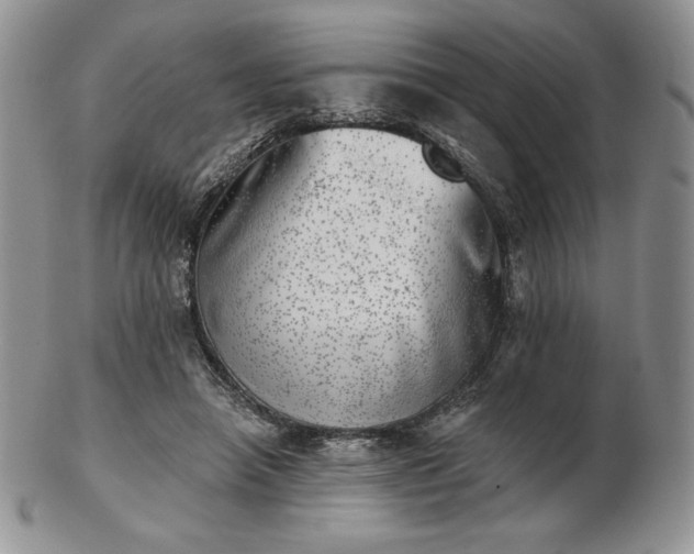 X0000102870450200808251245