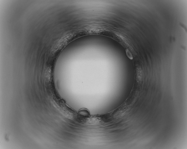 X0000102870451200808251245