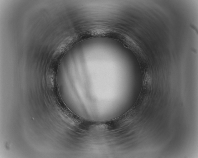 X0000102870452200808251245