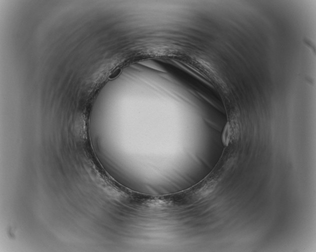 X0000102870453200808251245