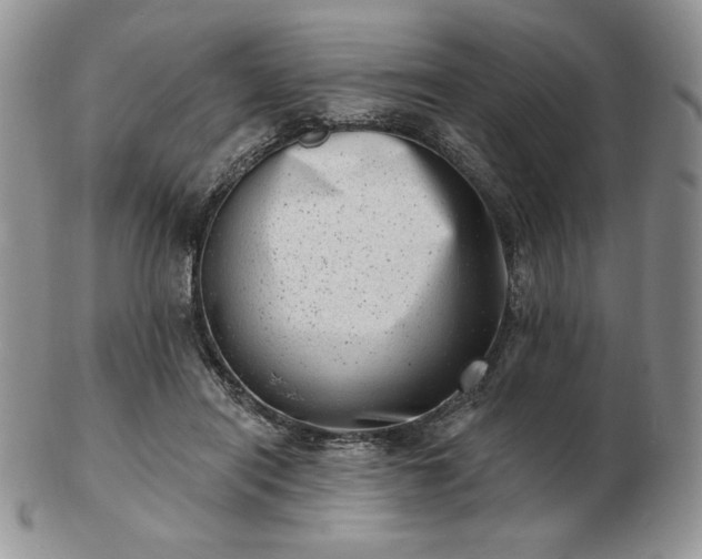 X0000102870454200808251245