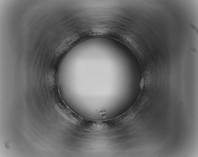 X0000102870455200808251245