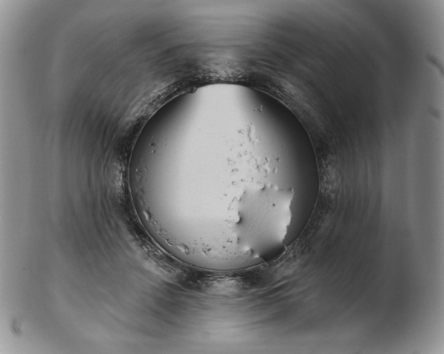 X0000102870456200808251245