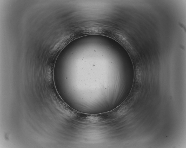 X0000102870457200808251245