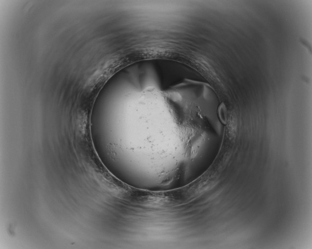 X0000102870458200808251245