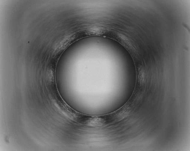 X0000102870459200808251245