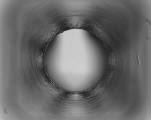 X0000102870460200808251245