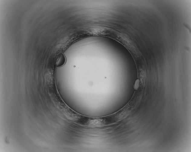 X0000102870461200808251245