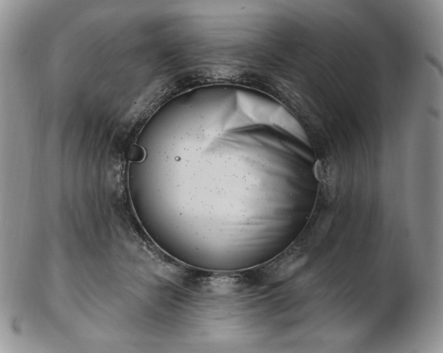 X0000102870462200808251245