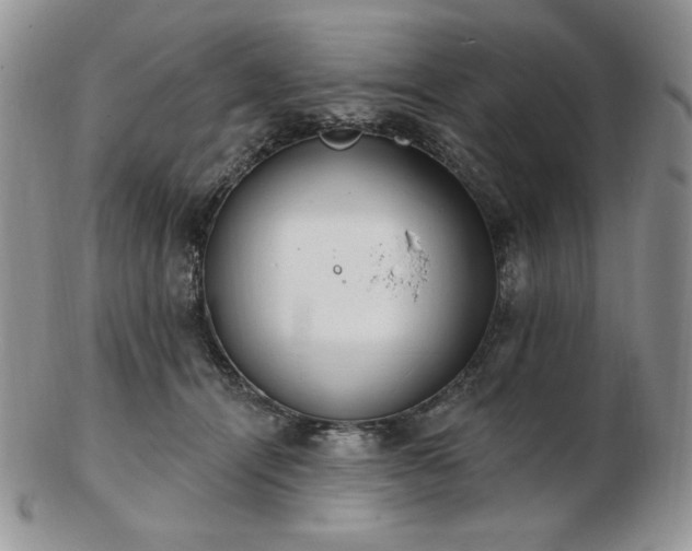 X0000102870464200808251245