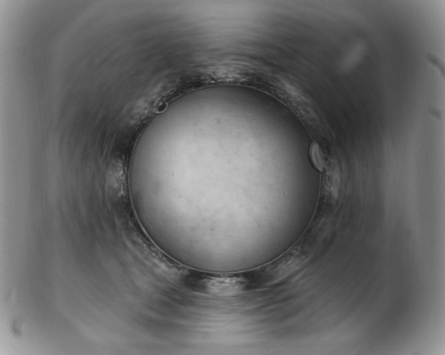 X0000102870465200808251245