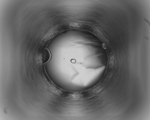 X0000102870466200808251245