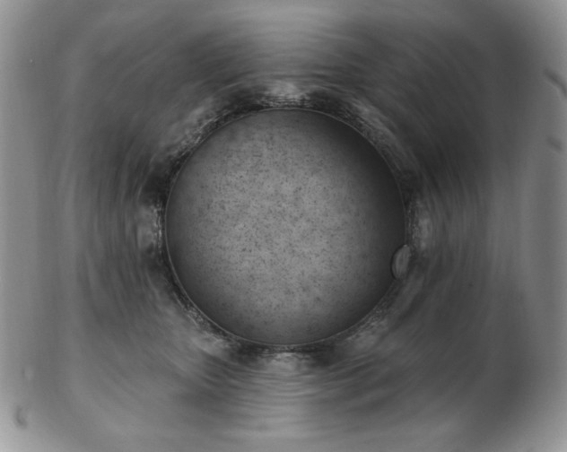 X0000102870467200808251245