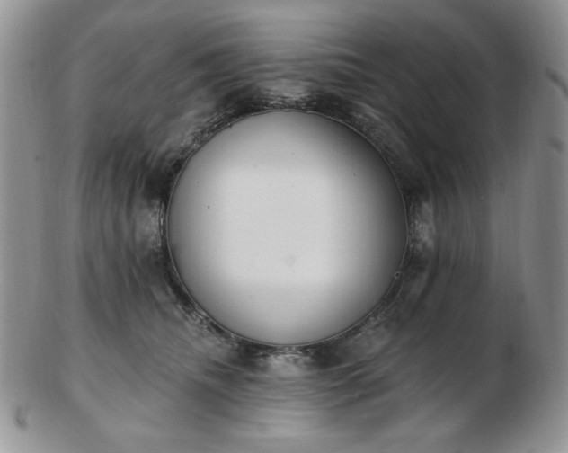 X0000102870468200808251245