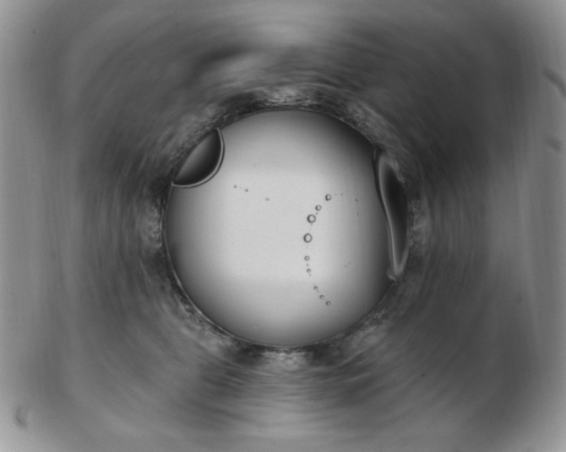 X0000102870469200808251245