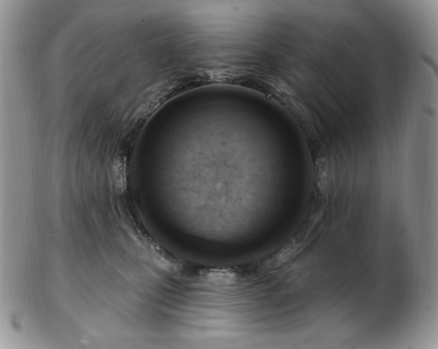 X0000102870471200808251245