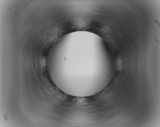 X0000102870472200808251245