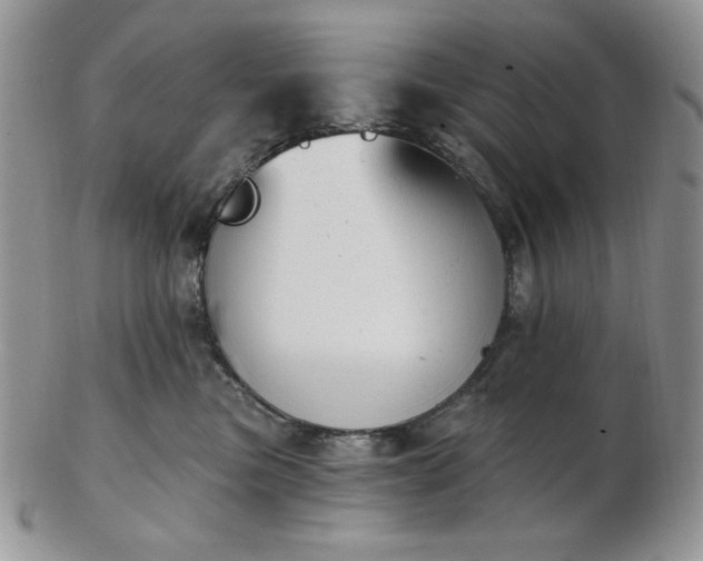 X0000102870473200808251245