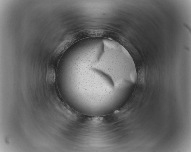 X0000102870474200808251245