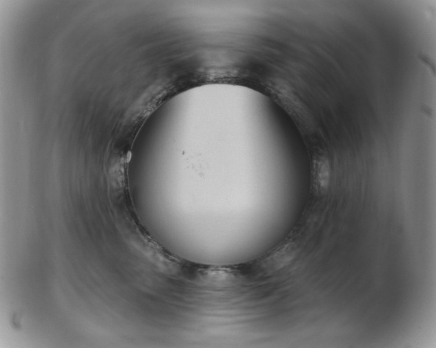 X0000102870475200808251245