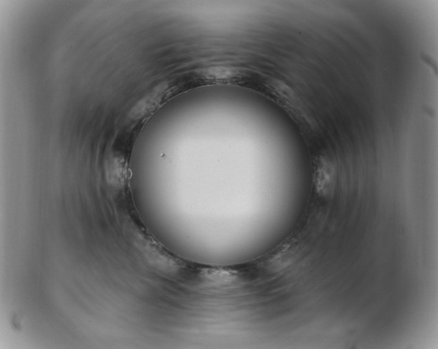 X0000102870476200808251245