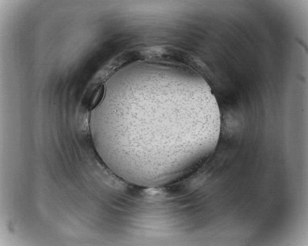 X0000102870477200808251245