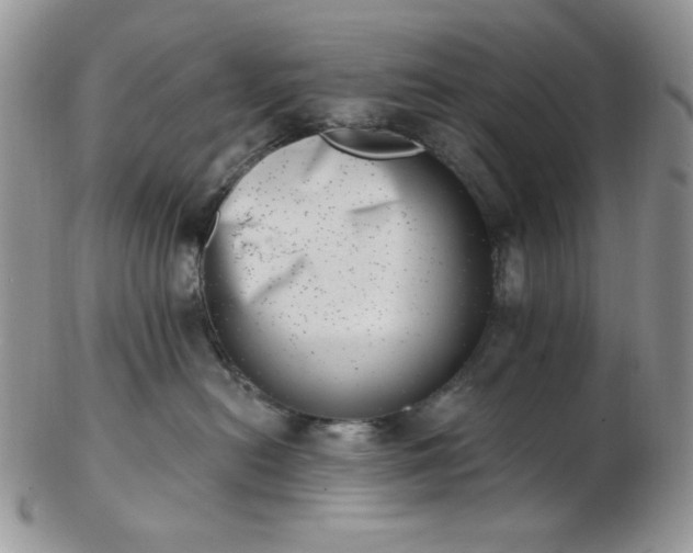 X0000102870478200808251245