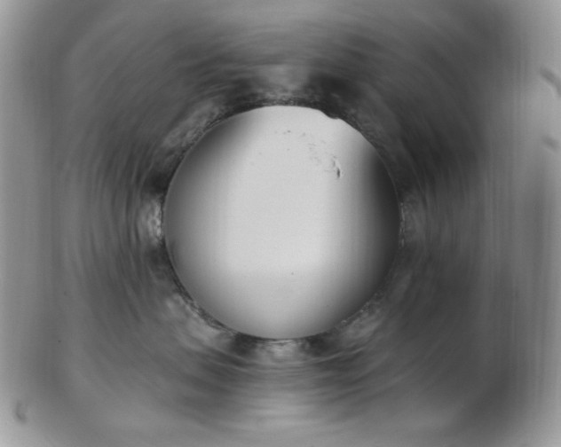 X0000102870479200808251245