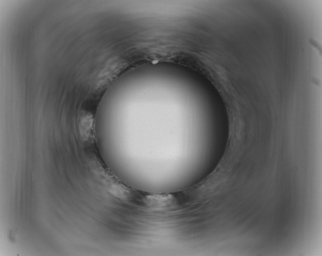 X0000102870480200808251245