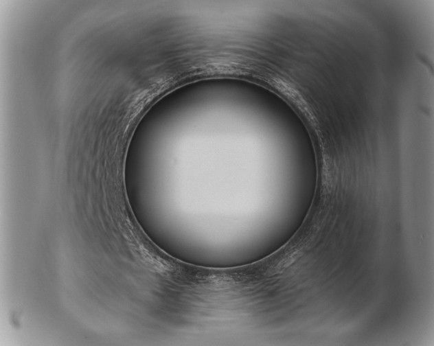 X0000102870481200808251245