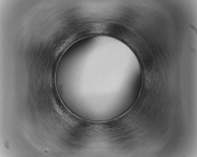 X0000102870482200808251245