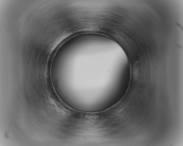 X0000102870484200808251245