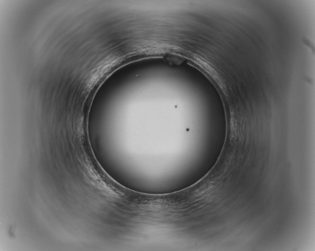 X0000102870485200808251245