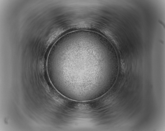 X0000102870487200808251245