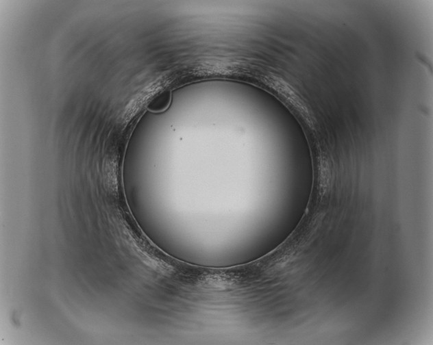 X0000102870489200808251244