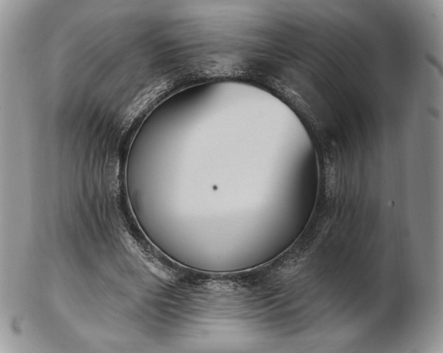 X0000102870490200808251244