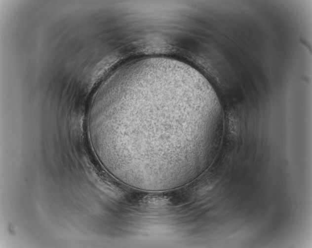 X0000102870491200808251244