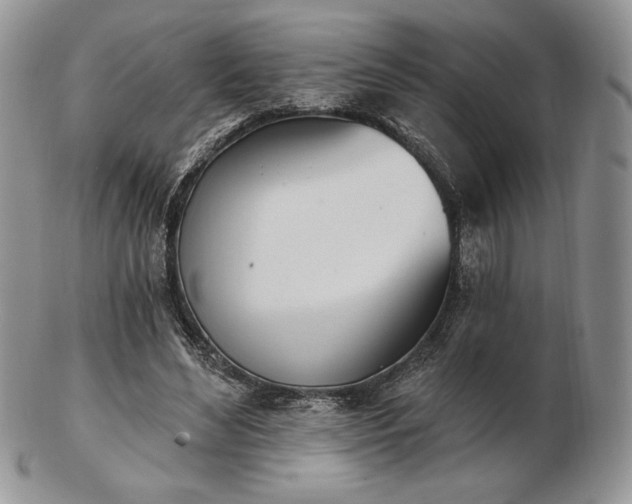 X0000102870492200808251244