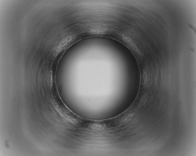 X0000102870494200808251244