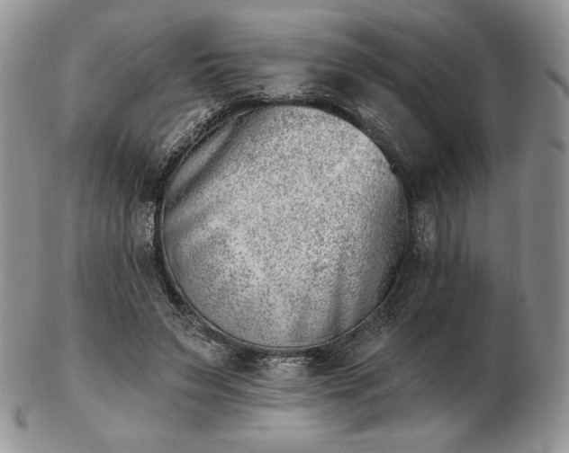 X0000102870495200808251244