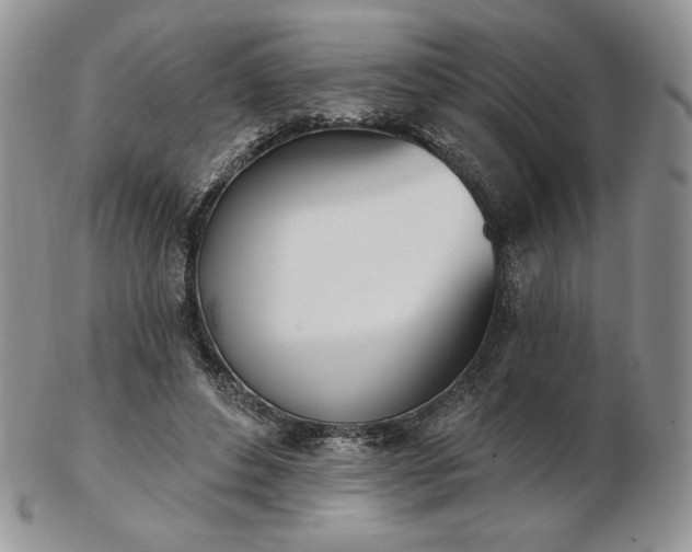 X0000102870496200808251244