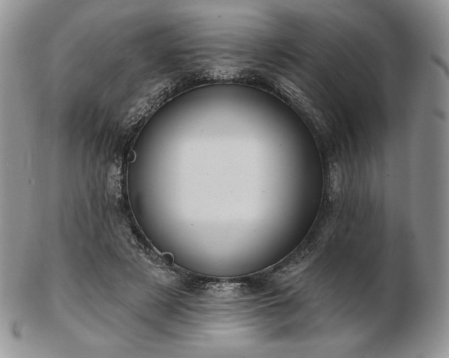 X0000102870497200808251244