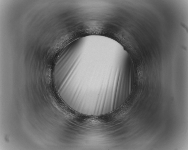 X0000102870498200808251244