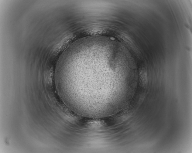 X0000102870499200808251244