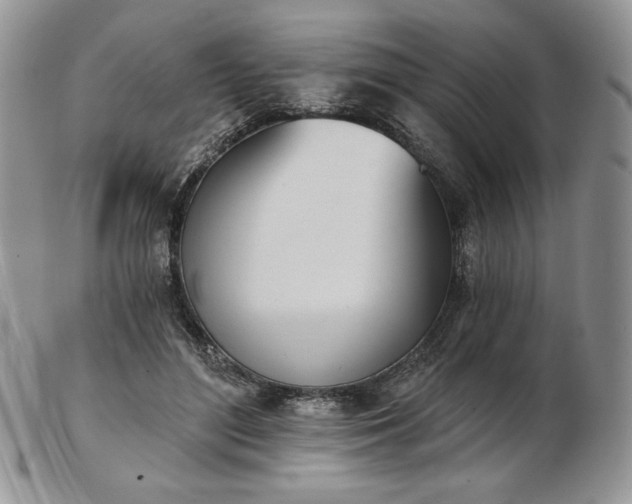 X0000102870500200808251244