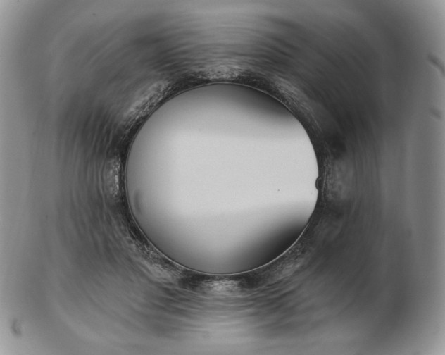 X0000102870501200808251244