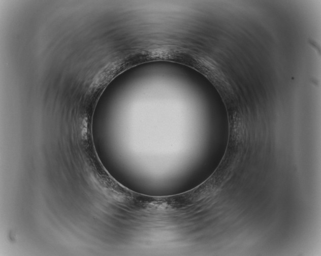 X0000102870502200808251244