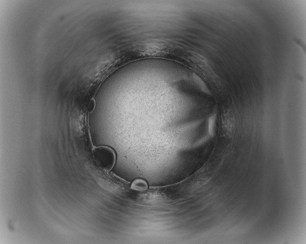 X0000102870503200808251244